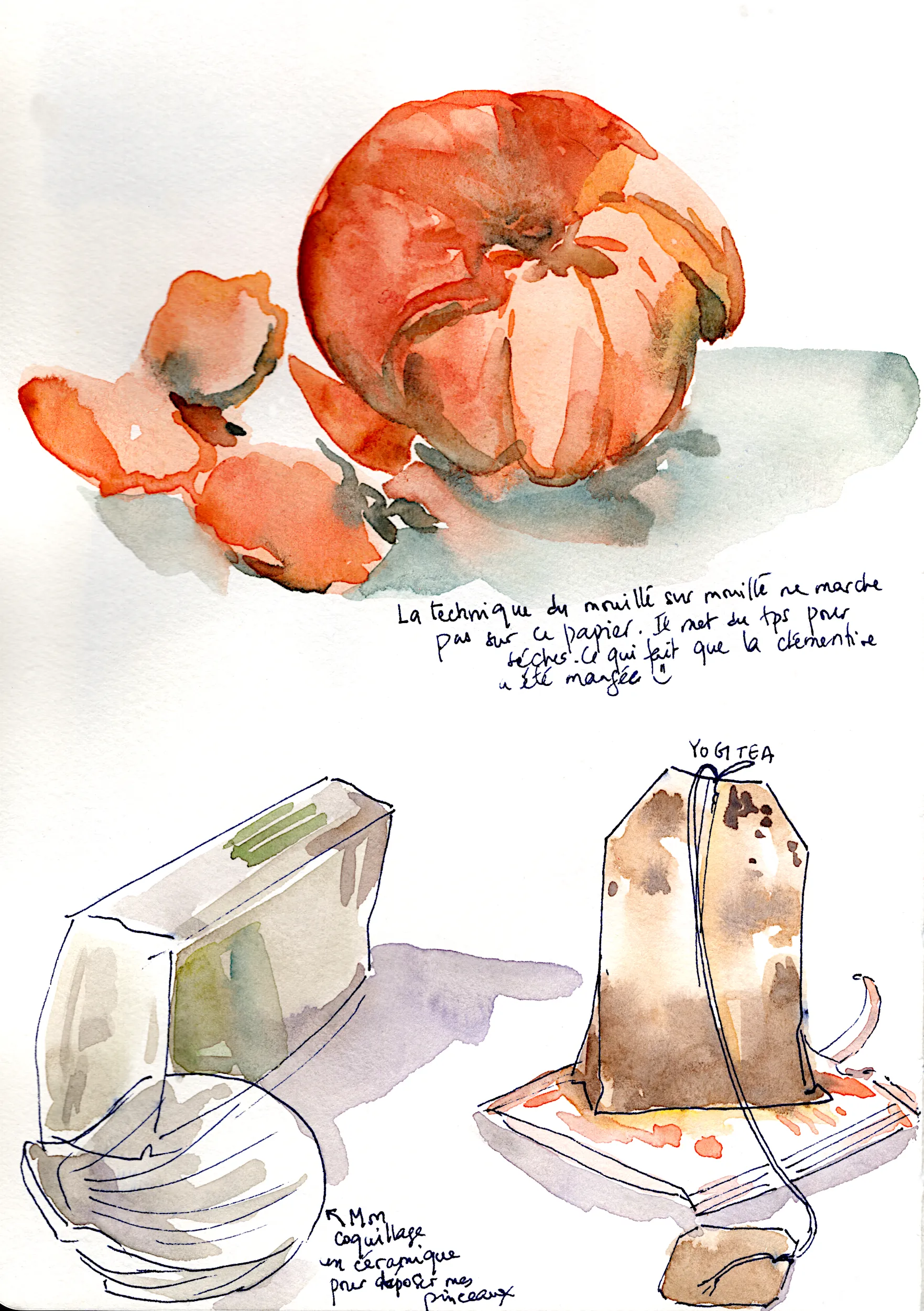 Études à l’aquarelle d’une clémentine et de sachets de thé