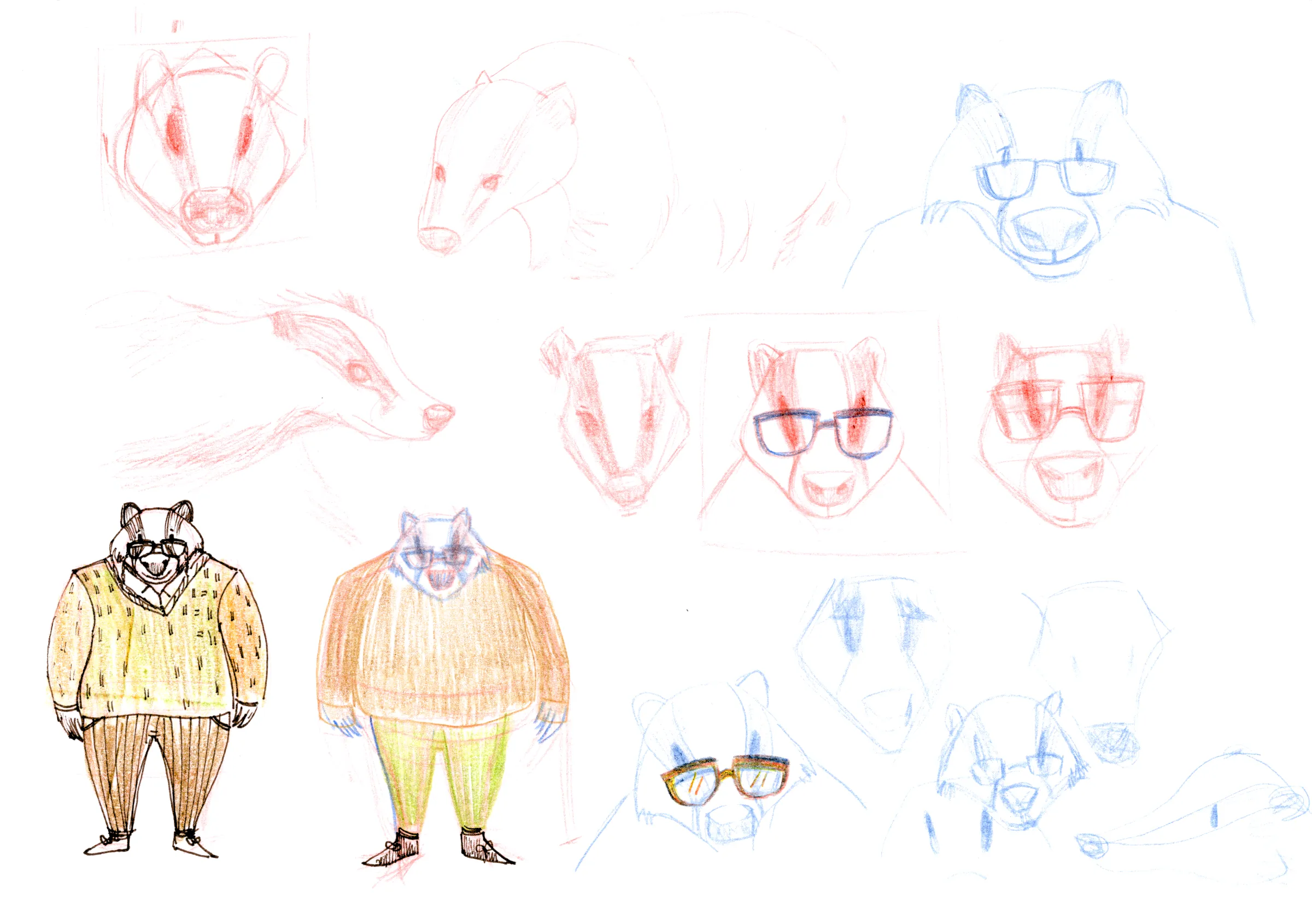 Recherches colorées pour le personnage de Blaireau